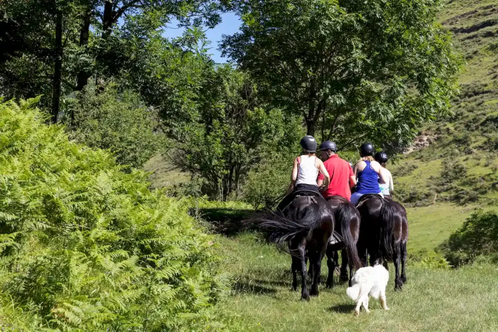 horseback riding on the tarn